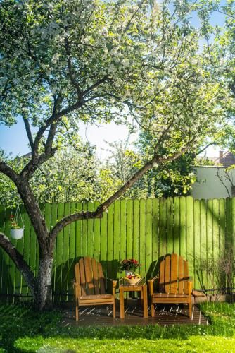 Outdoor Pictures 11
