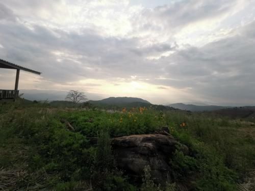 Outdoor Pictures 23