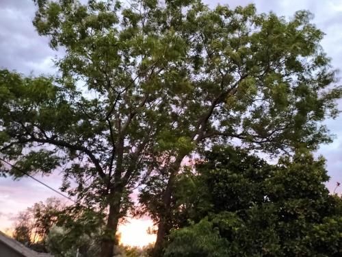 Outdoor Pictures 7