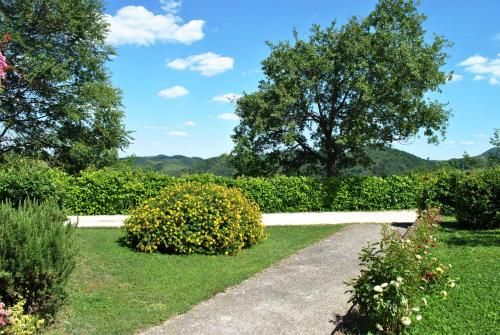 Outdoor Pictures 9