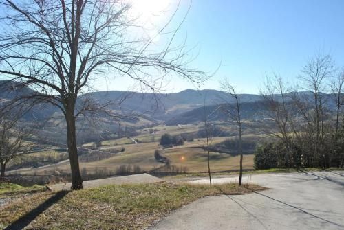 Outdoor Pictures 14