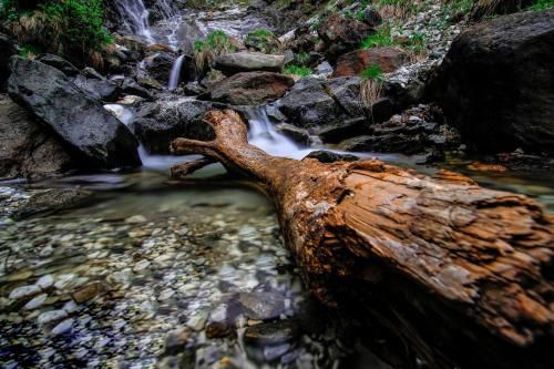 Outdoor Pictures 15