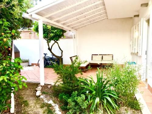 Outdoor Pictures 17