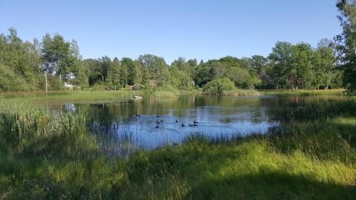 Outdoor Pictures 4