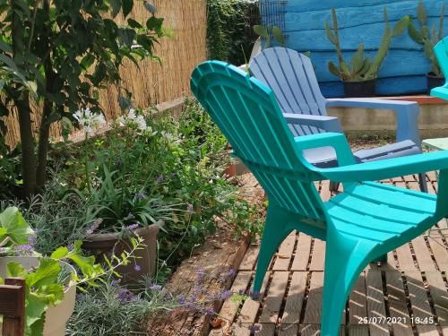 Outdoor Pictures 10
