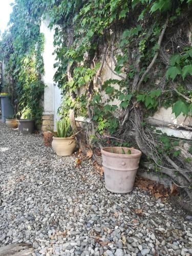 Outdoor Pictures 5