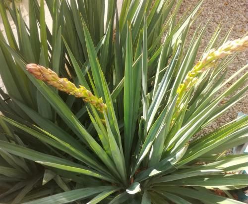 Outdoor Pictures 2