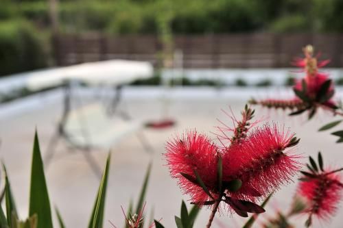 Outdoor Pictures 9
