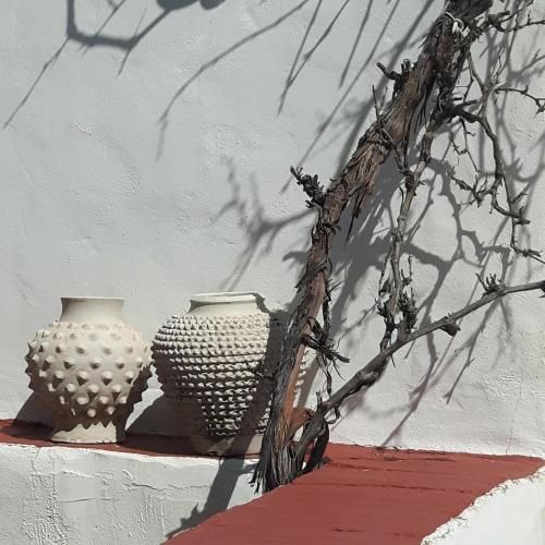 Casa Junius