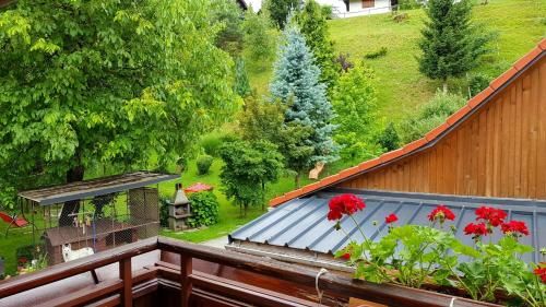 Outdoor Pictures 20