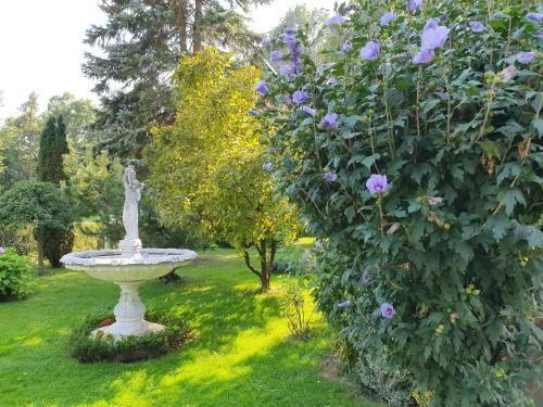Outdoor Pictures 11
