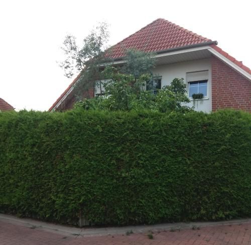 Studiozimmer an den Leineauen