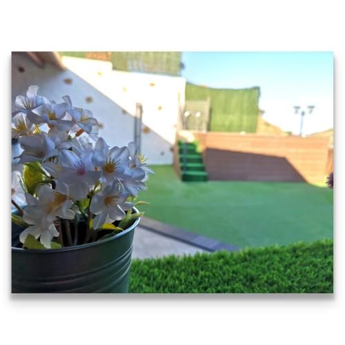 Outdoor Pictures 6