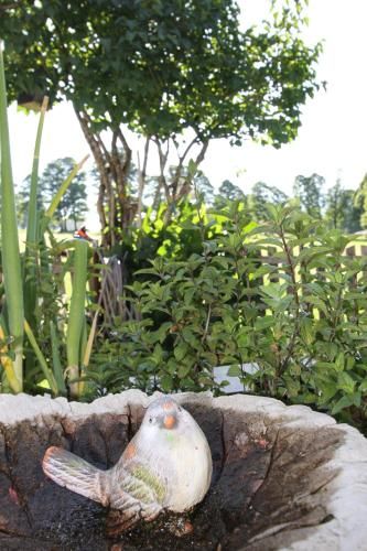 Outdoor Pictures 13
