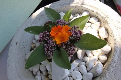 Outdoor Pictures 15