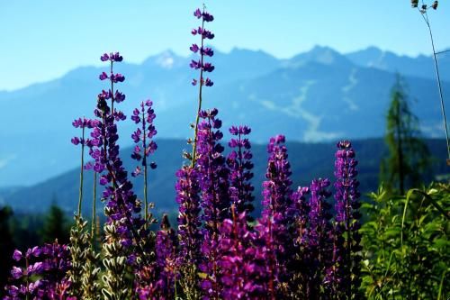 Outdoor Pictures 23