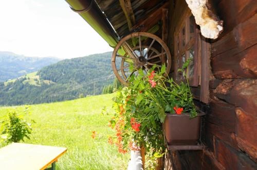 Outdoor Pictures 15