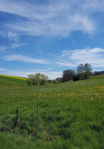 Outdoor Pictures 19