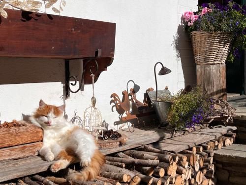 Outdoor Pictures 9