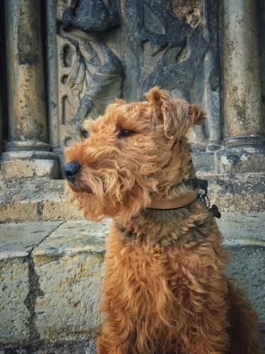 Outdoor Pictures 24