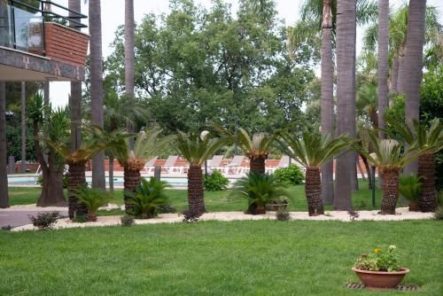 Outdoor Pictures 15