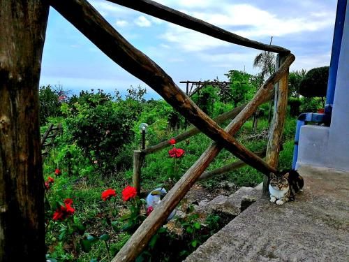 Outdoor Pictures 17