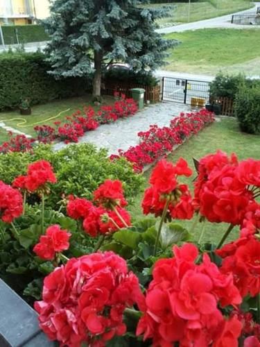 Outdoor Pictures 1