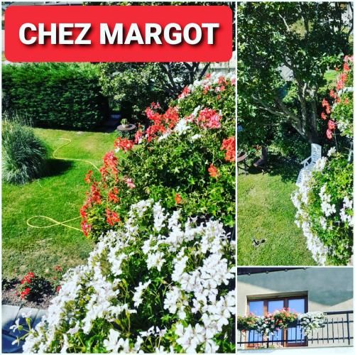 Outdoor Pictures 2