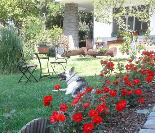 Outdoor Pictures 12