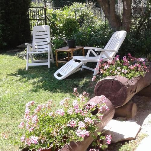 Outdoor Pictures 7