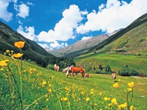 Outdoor Pictures 20