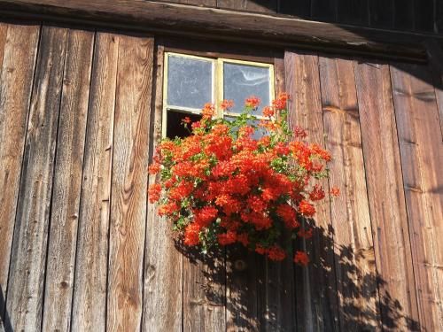 Outdoor Pictures 13