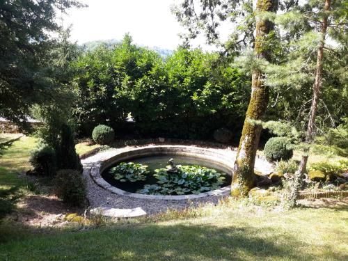 Outdoor Pictures 9