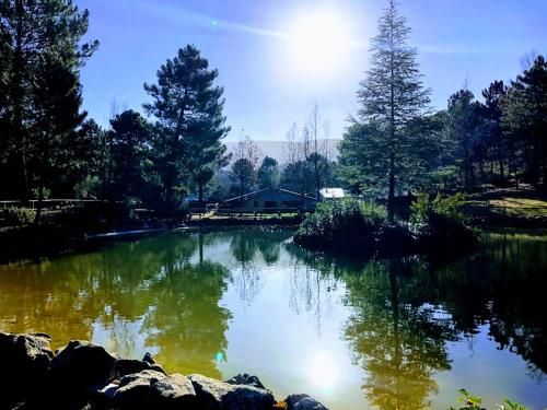 Outdoor Pictures 21