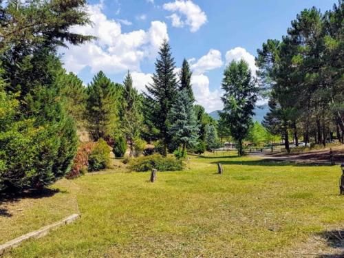 Outdoor Pictures 22