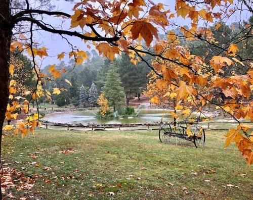 Outdoor Pictures 4