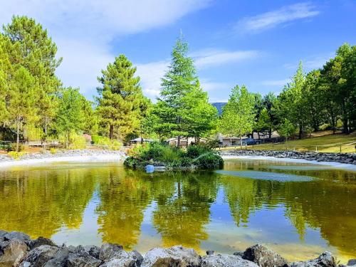 Outdoor Pictures 24