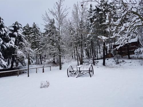 Outdoor Pictures 7