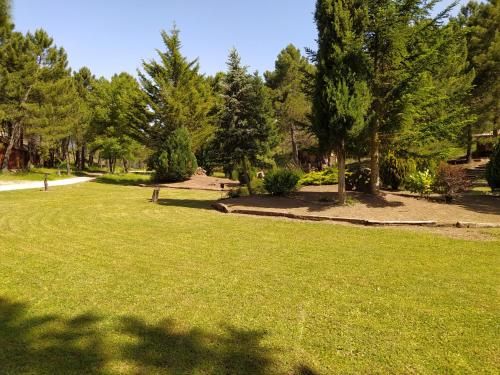 Outdoor Pictures 17