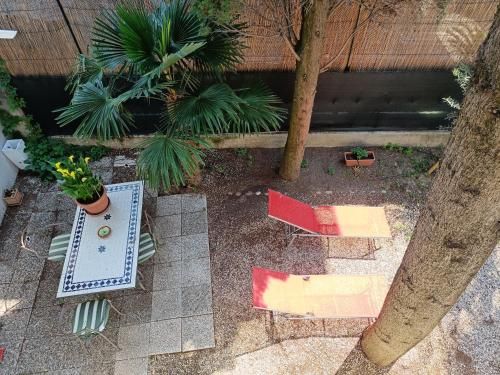 Outdoor Pictures 5