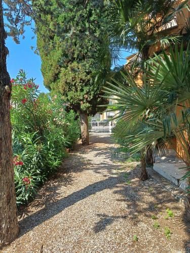 Outdoor Pictures 7