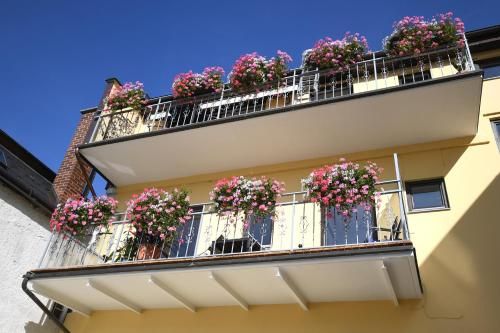 Outdoor Pictures 24