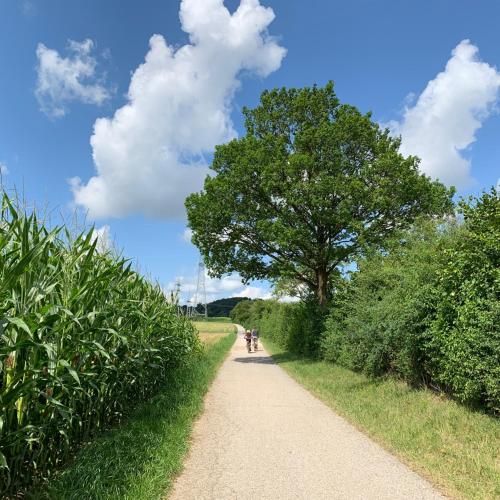 Zimmer mit Bergblick
