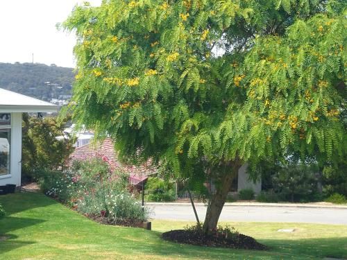 Outdoor Pictures 6