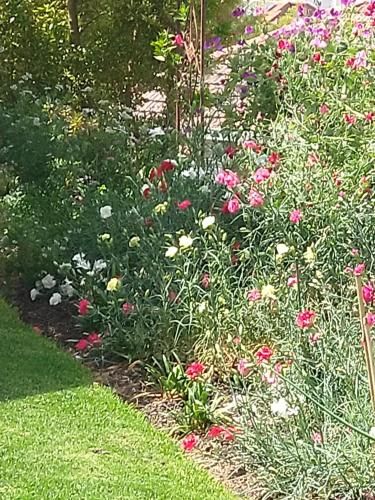 Outdoor Pictures 7