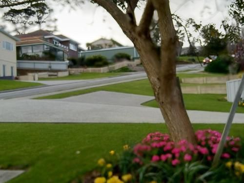 Outdoor Pictures 1