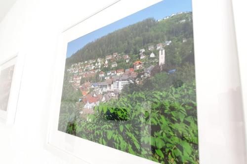 Outdoor Pictures 9