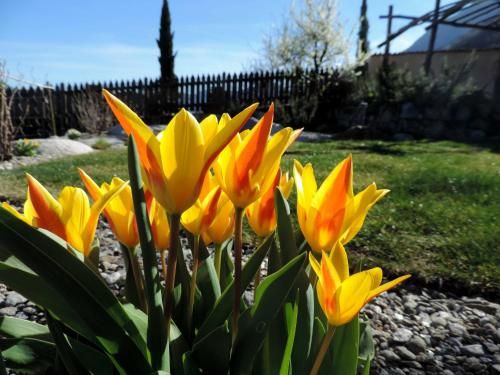 Outdoor Pictures 7