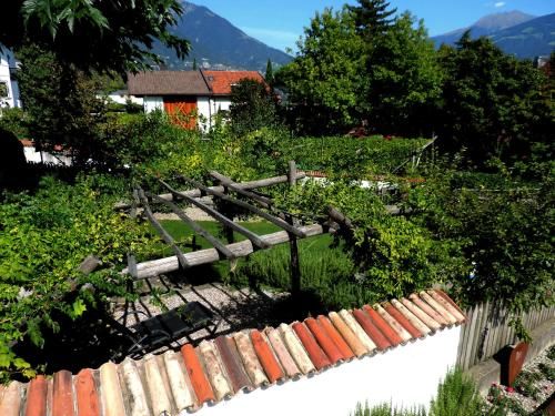 Outdoor Pictures 15