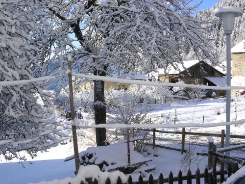 Outdoor Pictures 20